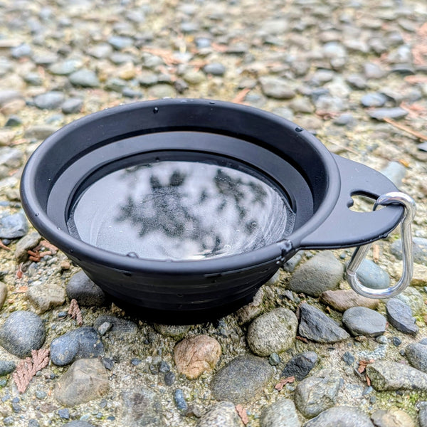 Collapsible Pet Bowl
