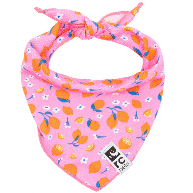 Zephyr Cooling Bandana – BC SPCA