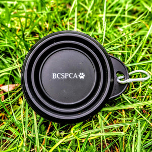 Collapsible Pet Bowl