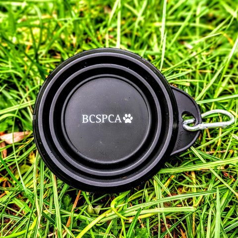 Shop the BC SPCA Online Store