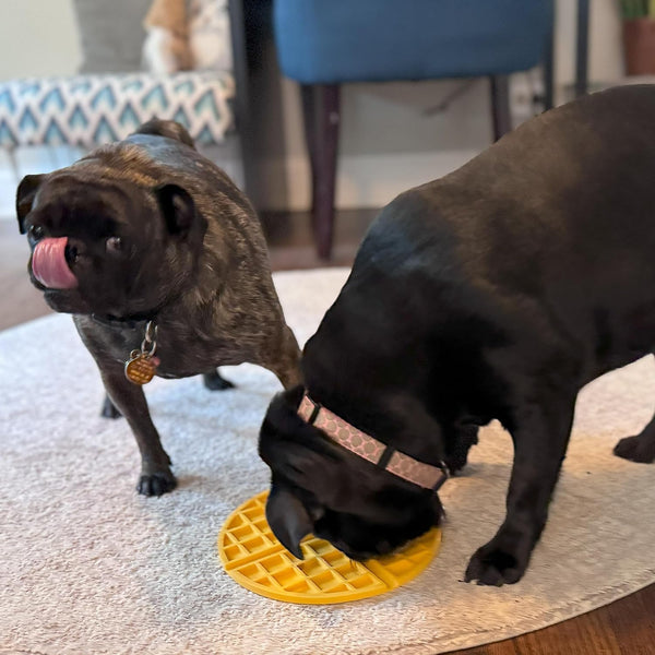 SPOT - Belgian Waffle Lick Mat