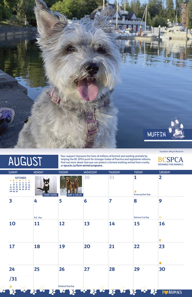 BC SPCA Calendar