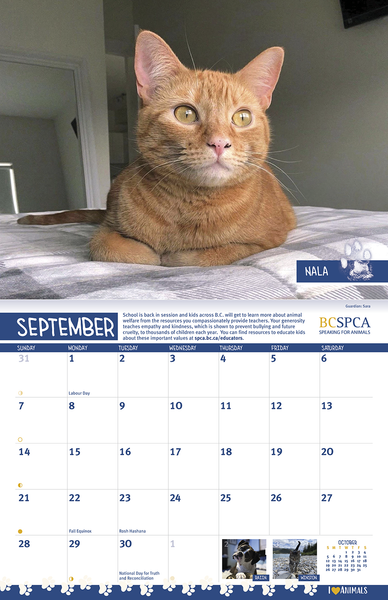 BC SPCA Calendar