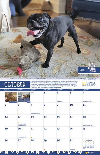 BC SPCA Calendar