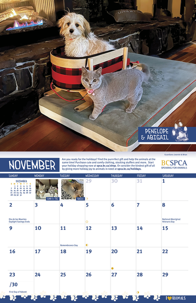 BC SPCA Calendar