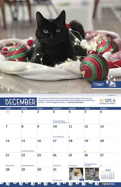 BC SPCA Calendar