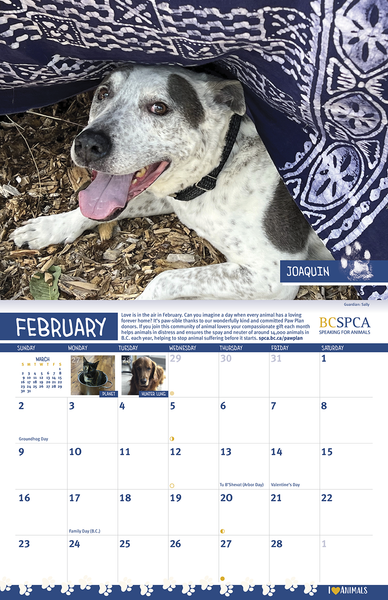 BC SPCA Calendar