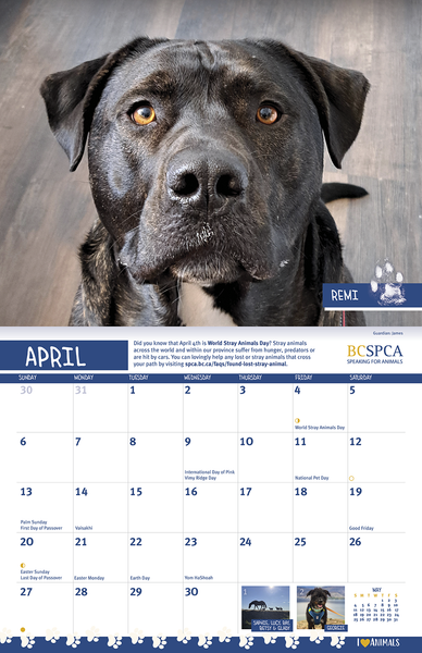 BC SPCA Calendar