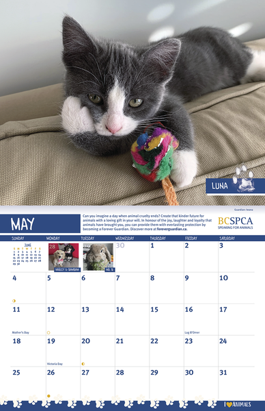 BC SPCA Calendar