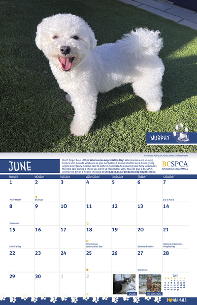 BC SPCA Calendar