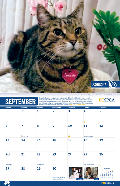 BC SPCA Calendar