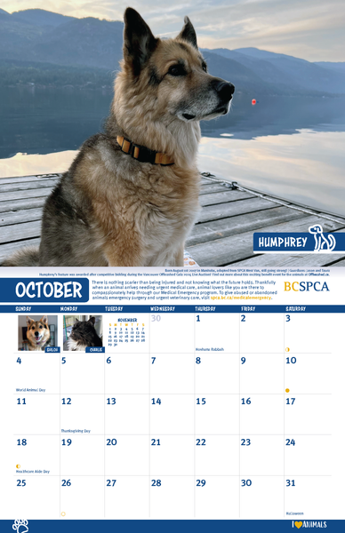 BC SPCA Calendar