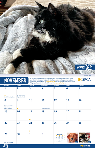 BC SPCA Calendar