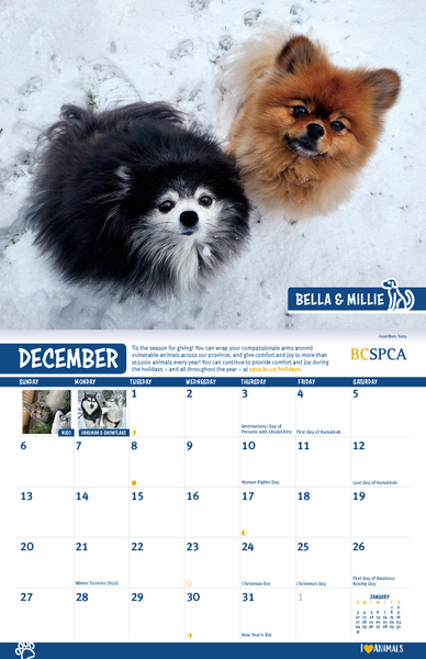 BC SPCA Calendar