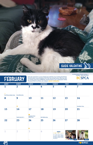 BC SPCA Calendar