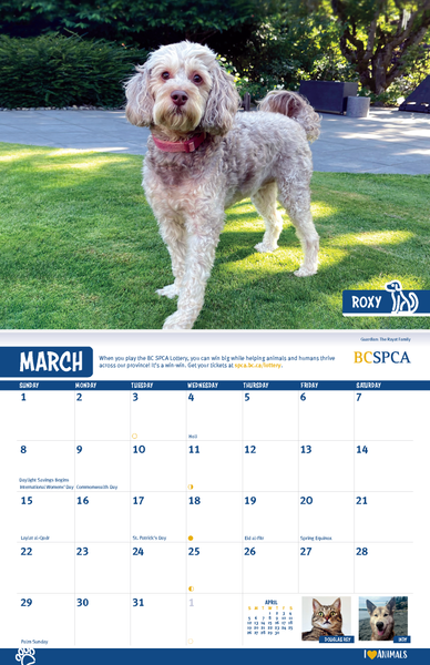BC SPCA Calendar