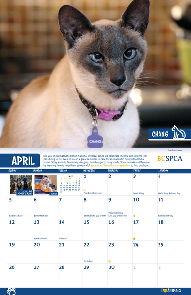 BC SPCA Calendar