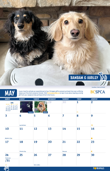 BC SPCA Calendar
