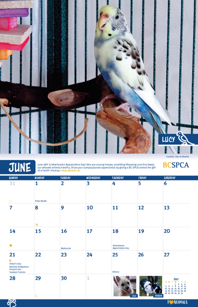 BC SPCA Calendar