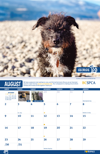BC SPCA Calendar