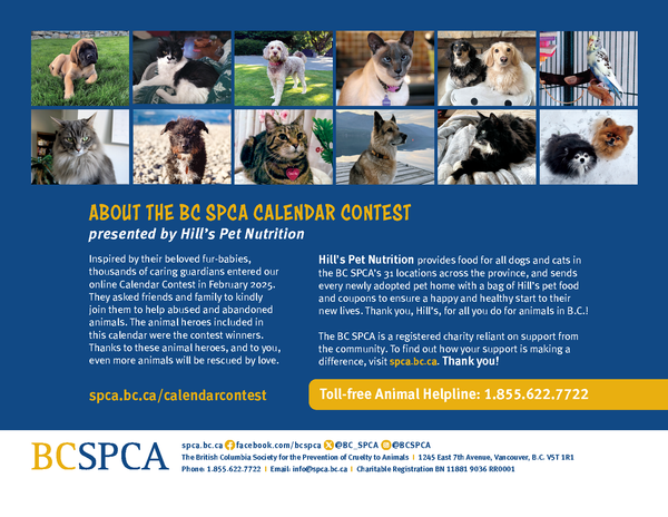 BC SPCA Calendar