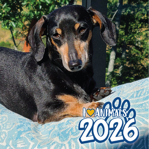 BC SPCA Calendar