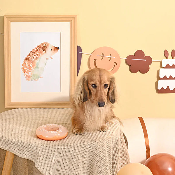 HUGSMART - Birthday Donut