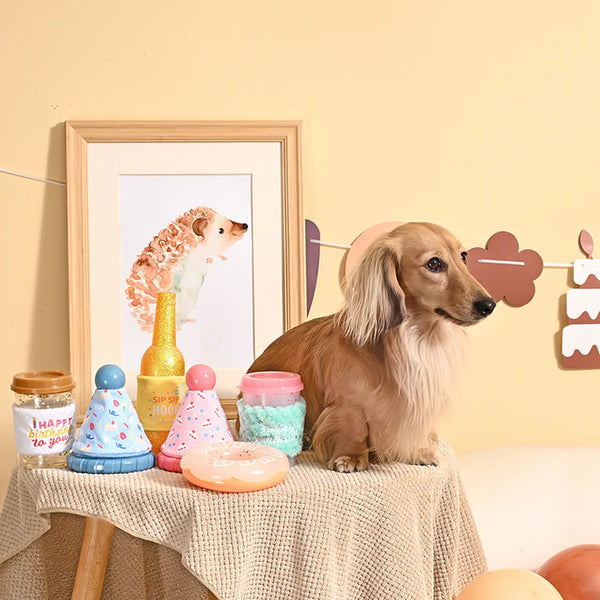 HUGSMART - Birthday Donut