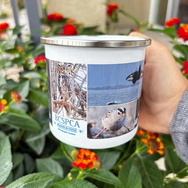 Wildlife-in-Focus Trail Mug