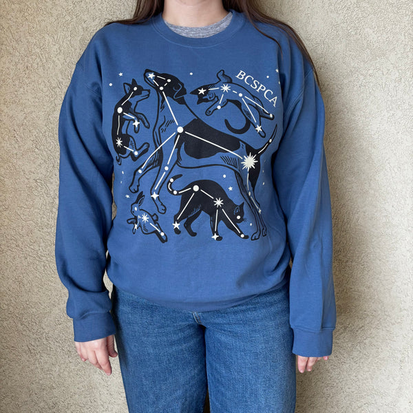Critter Constellation - Unisex Sweatshirt