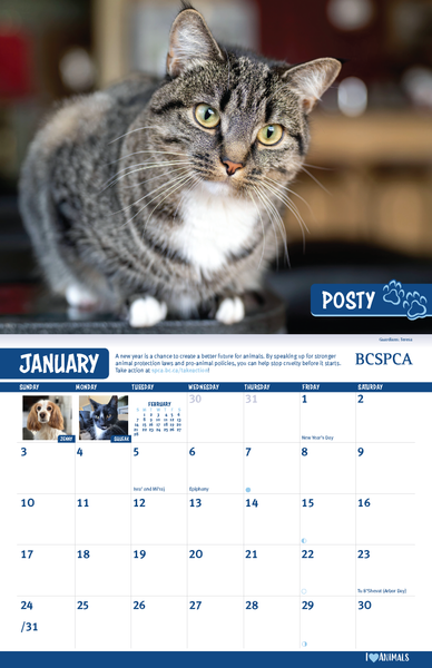 BC SPCA Calendar