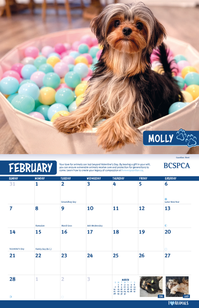 BC SPCA Calendar