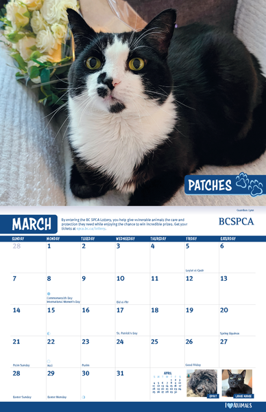 BC SPCA Calendar