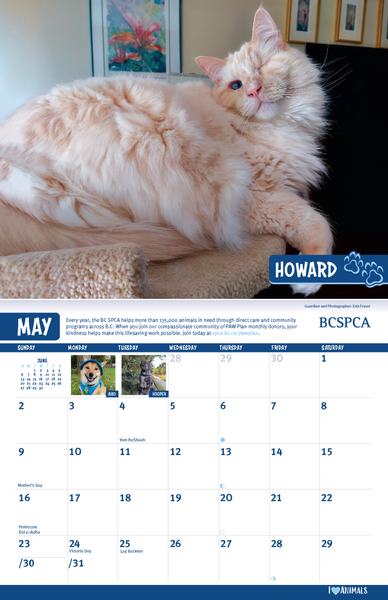 BC SPCA Calendar