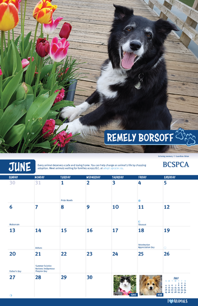 BC SPCA Calendar