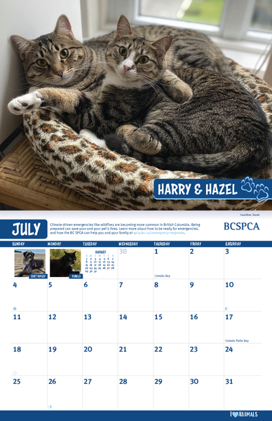 BC SPCA Calendar