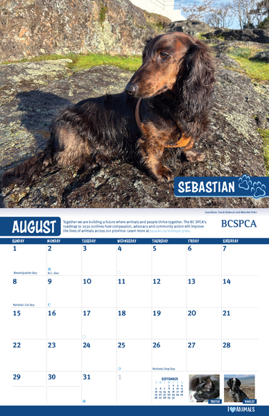 BC SPCA Calendar