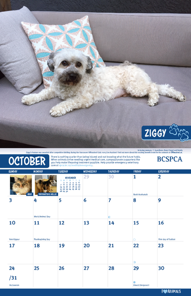 BC SPCA Calendar