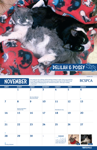 BC SPCA Calendar
