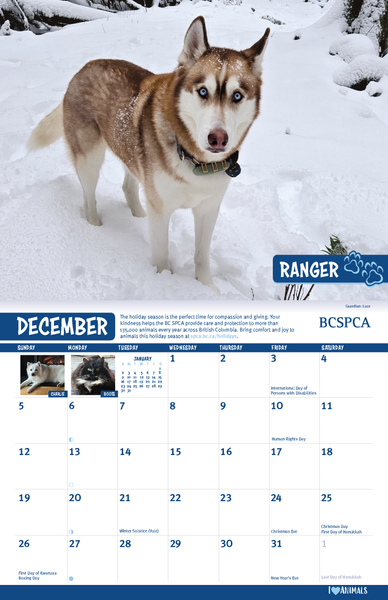 BC SPCA Calendar