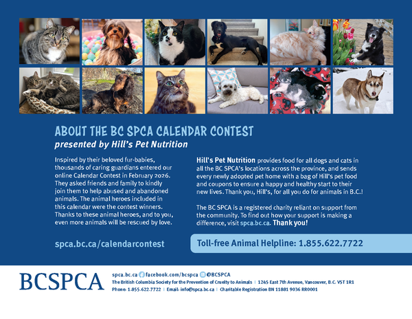 BC SPCA Calendar