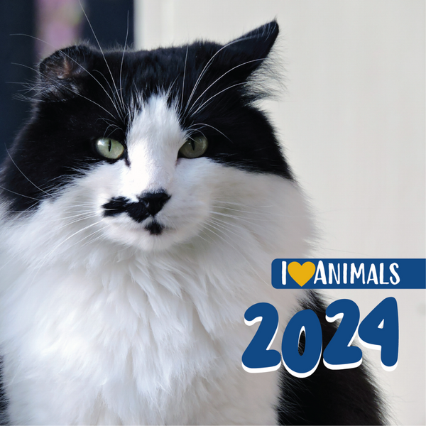 Bc Spca Calendar 2025