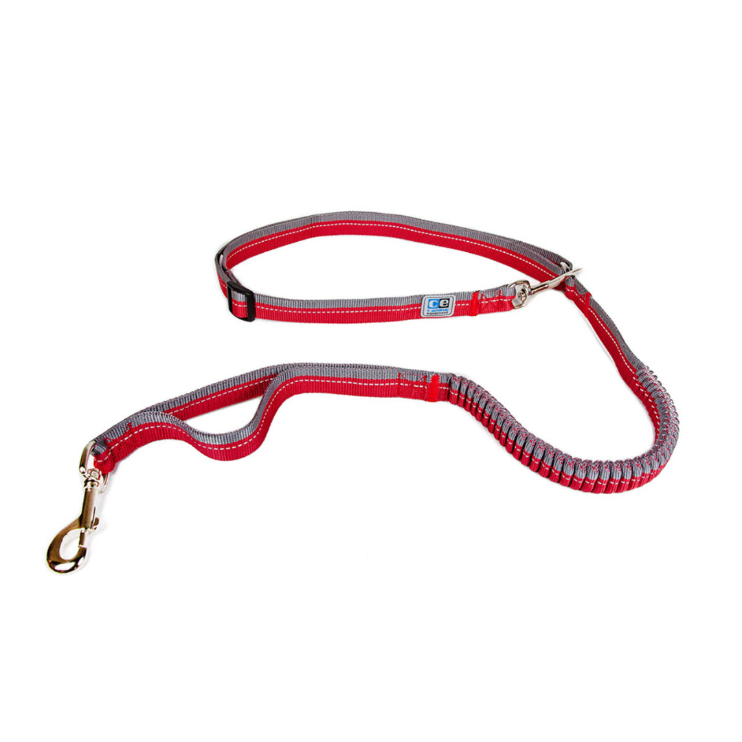 Bungee Active Leash
