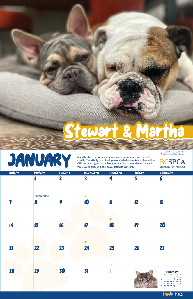 Bc Spca Calendar 2025