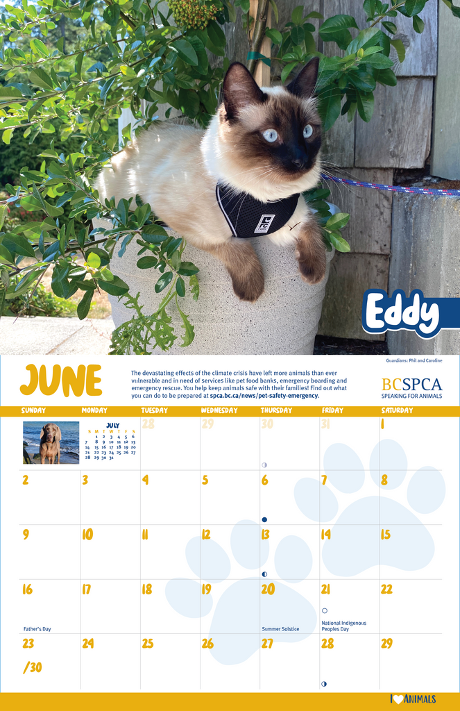 Bc Spca Calendar 2025