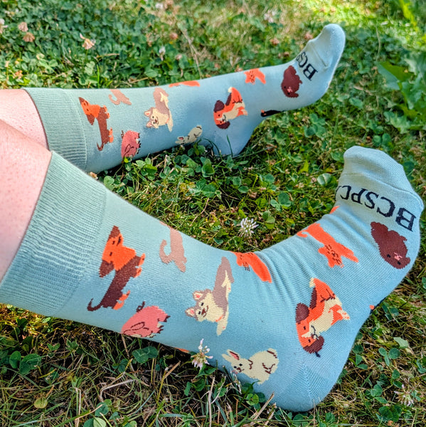 BC SPCA Socks