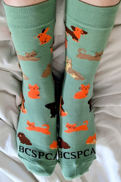 BC SPCA Socks