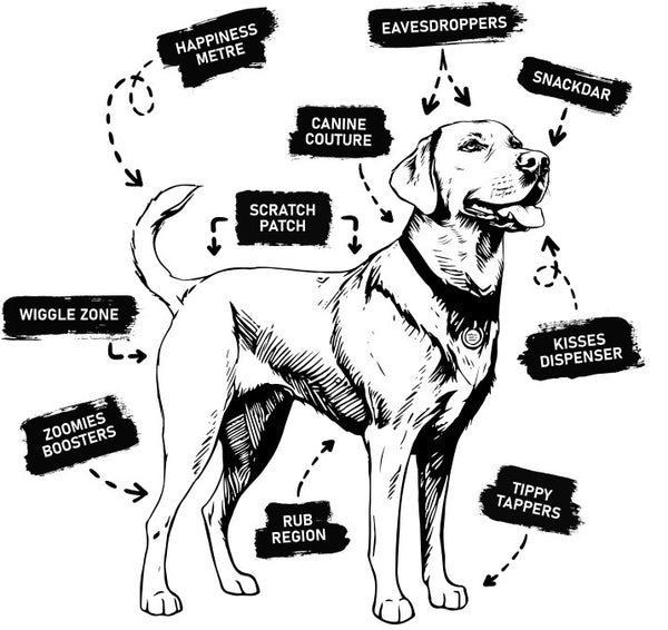 Anatomy of a Dog - Unisex T-Shirt