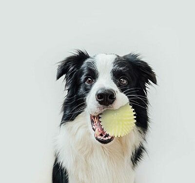 ROYAL PET - Glow-in-the-Dark Ball