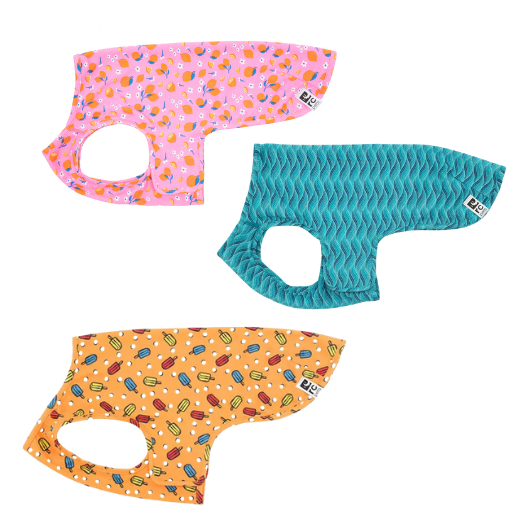 Spca*:・'°☆品 Collections – BC SPCA